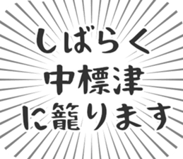 584253202
