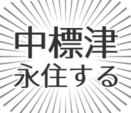 584253206