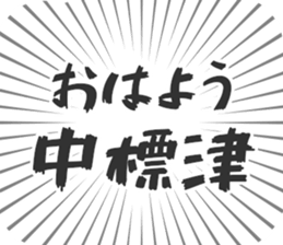 584253207