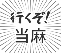 584253333