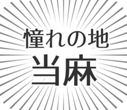 584253338