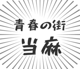 584253339