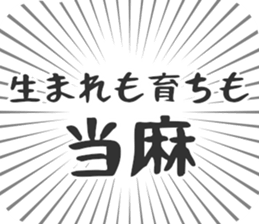 584253342