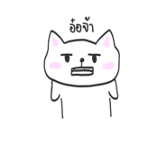 584254969