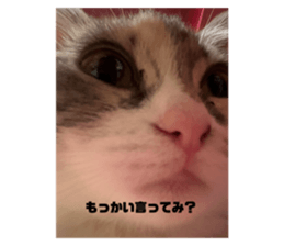 584293048