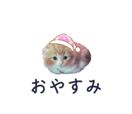 584323407