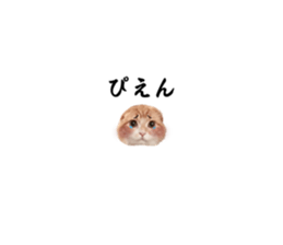 584323431