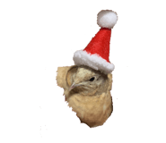 584346254