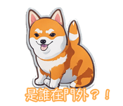 584363895