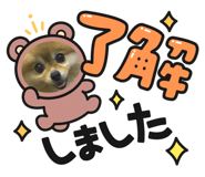 584371621