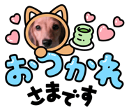584377215