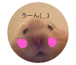 584409363
