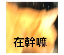 584416635