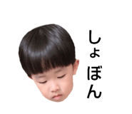 584420587