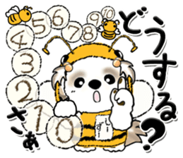 584446262