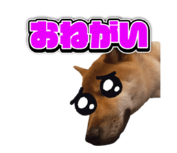 584477356
