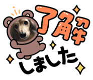 584485208