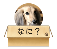 584485211