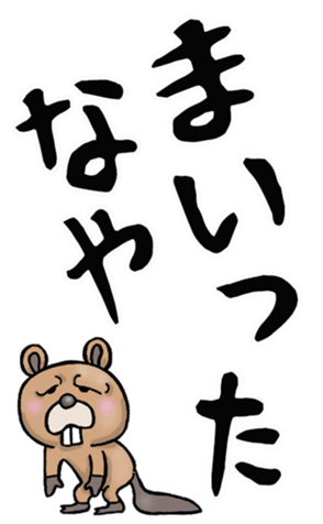 584585116