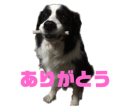 584601177