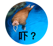 584601534