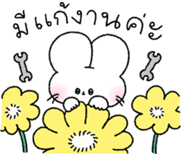 ลายที่ 41