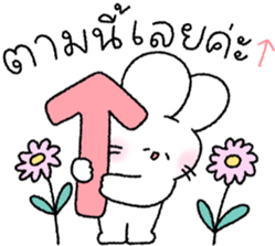 ลายที่ 55