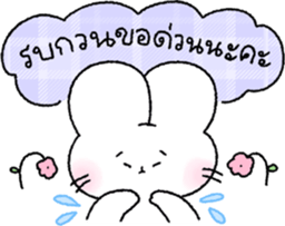 น้องกระต่ายนุ่มฟู (ทำงาน) รูปที่ 29
