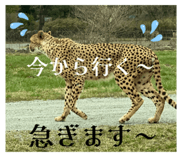 584702895