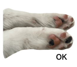 584707927