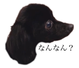 584714304