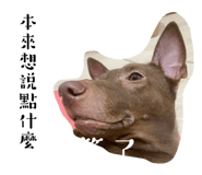 584738687