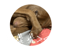584738692