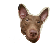 584738698