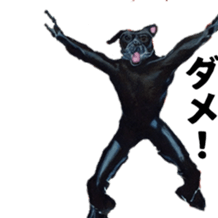 584769891