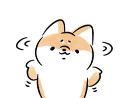 584895611