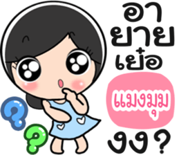 58490054