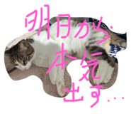 584919635
