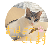 584919636
