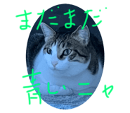 584919641