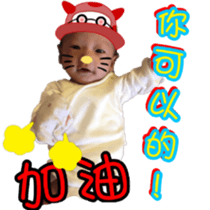 58494318