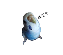 584967378