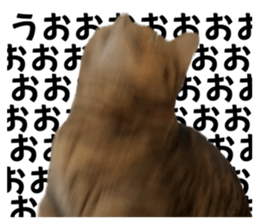 585018867
