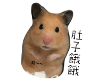 585025915