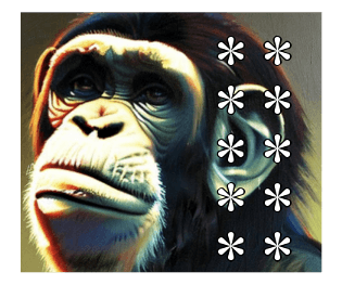 585051200