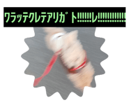 585192999