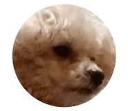 585193020
