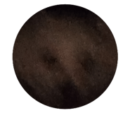 585193021