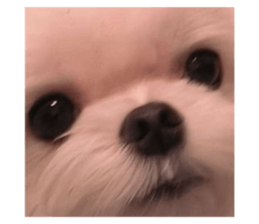 585201454