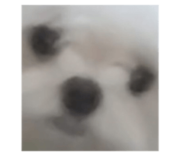 585201455
